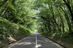 島根県　SANBESAPCE 緑のトンネル